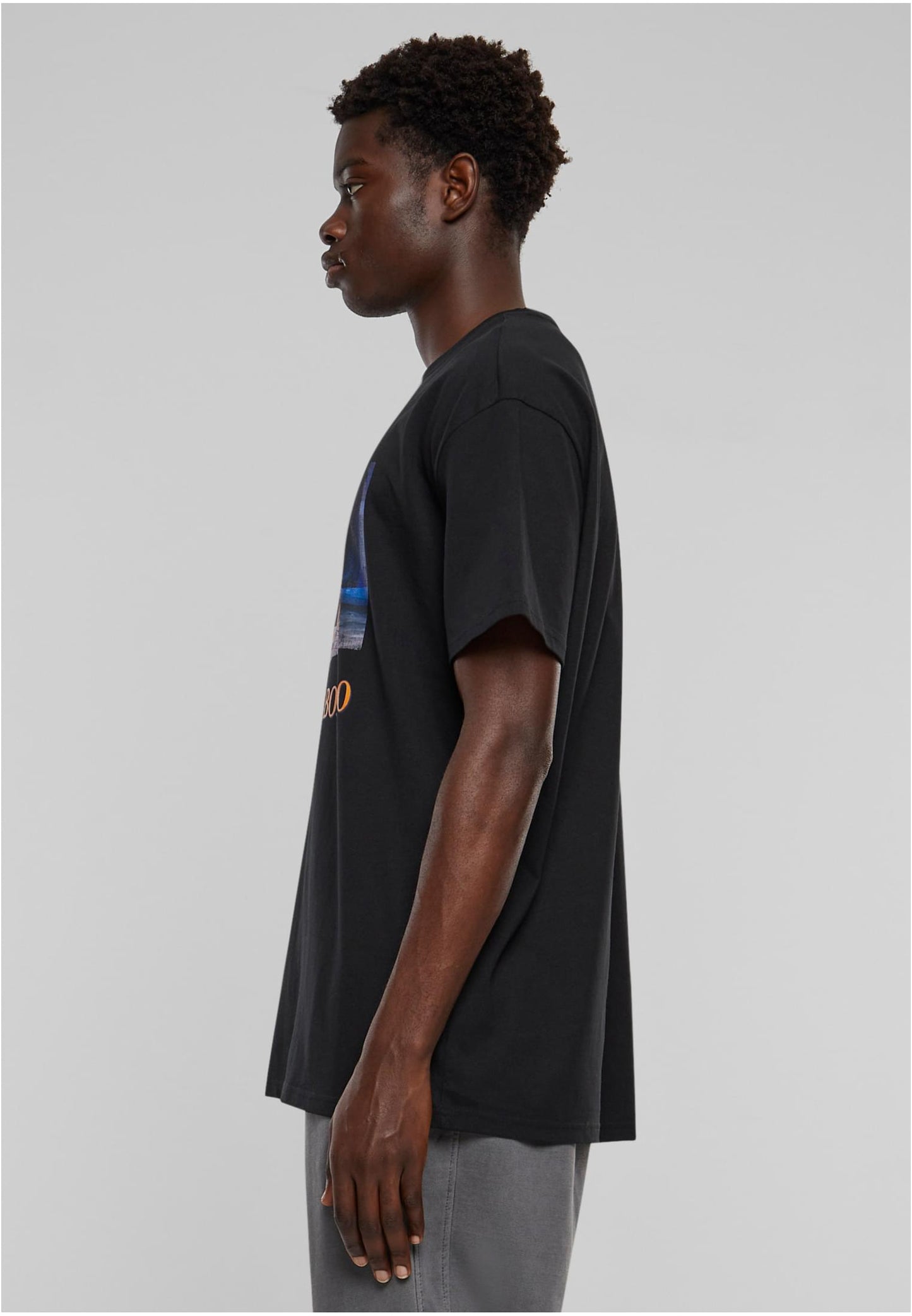 Lilli e il Vagabondo Heavy Oversize Tee