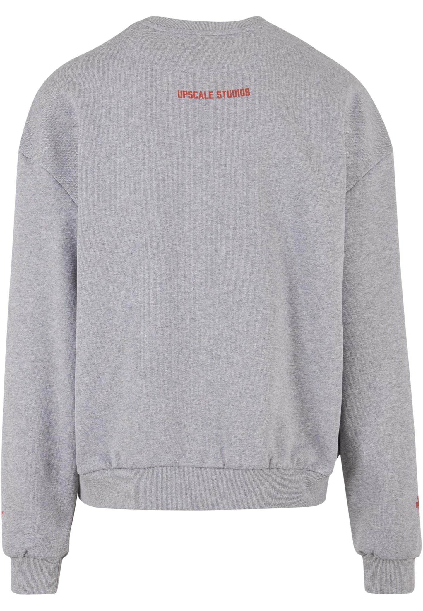 Texas Longhorns Austin Oversize Crewneck