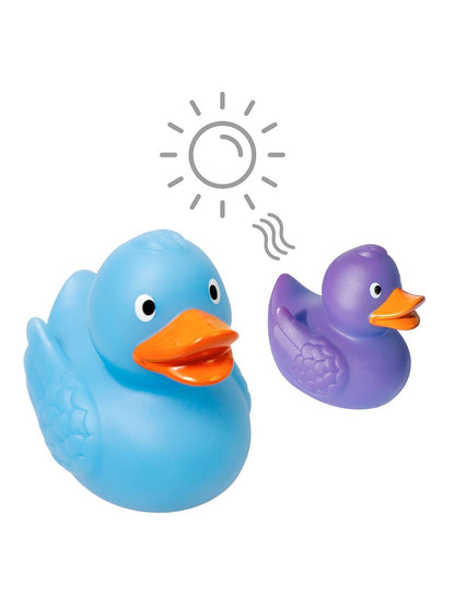 Squeaky duck, colour changing UV MBW Blue/Purple