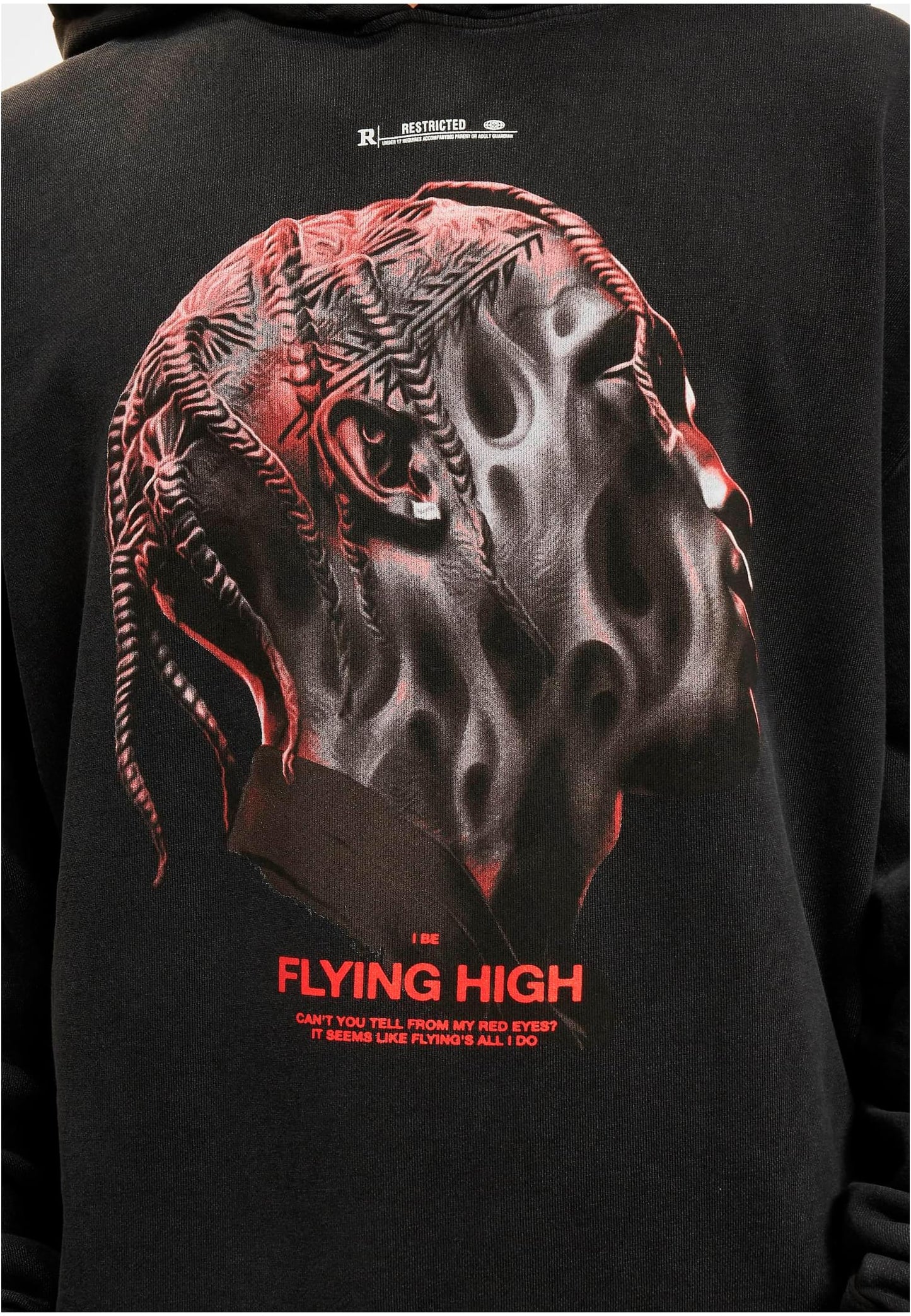 Flying High Hoodie