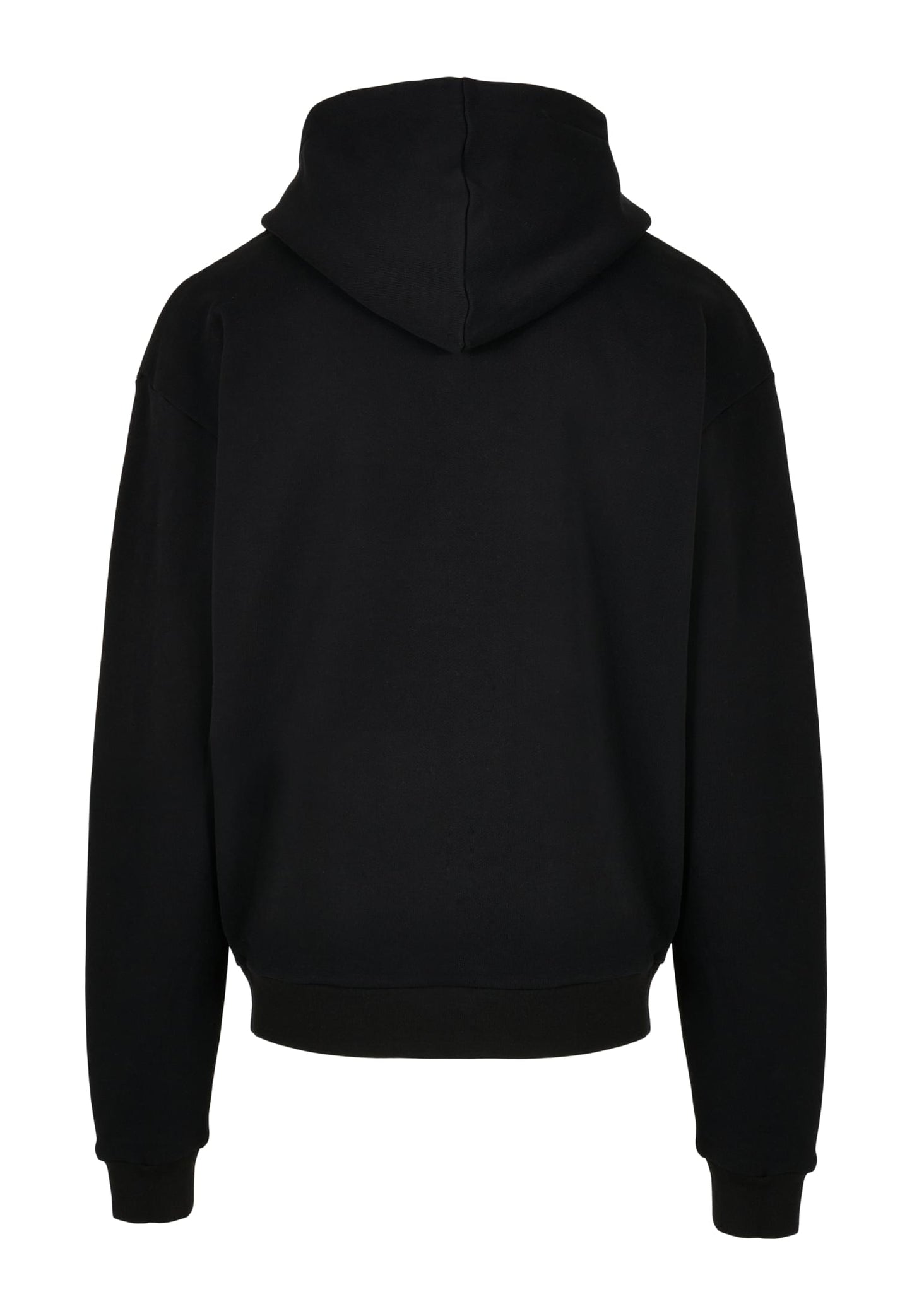 Renairssance Painting Oversize Hoodie